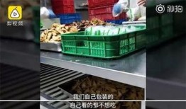 安徽杆岗香食品爆料视频,揭秘传统美食背后的秘密