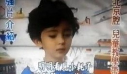 杨幂爆料金瀚视频播放,揭秘幕后故事与精彩瞬间