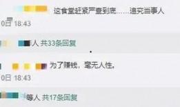 家长爆料食堂视频播放,食堂视频揭示惊人真相，食品安全引关注