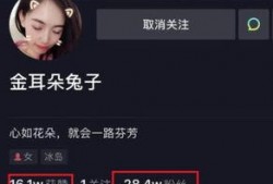 圈内人爆料娱乐圈的小说,娱乐圈幕后风云录
