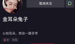 圈内人爆料娱乐圈的小说,娱乐圈幕后风云录