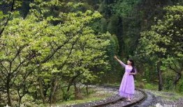 风景哥爆料视频大全最新,视频大全精彩瞬间大盘点