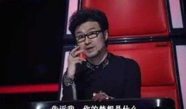 刘亦菲爆料汪峰事件视频,视频曝光引发热议
