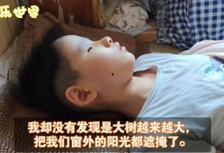 盲症在线观看,盲症患者的在线视觉体验之旅