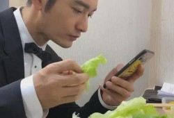 海肠捞饭爆料视频播放在线观看,在线观看视频，揭秘美食背后的故事