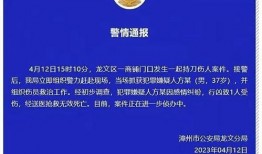桂城媒体爆料案件最新,最新案件进展，疑点重重引关注