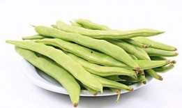 吃瓜吃豆角视频下载免费,轻松获取热门搞笑瞬间